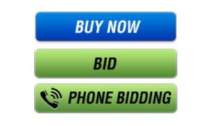 BUYING OPTIONS AND THE AMOUNT OF DEPOSIT YOU NEED TO HAVE ON YOUR ...